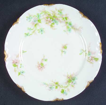Schleiger 231b by Haviland