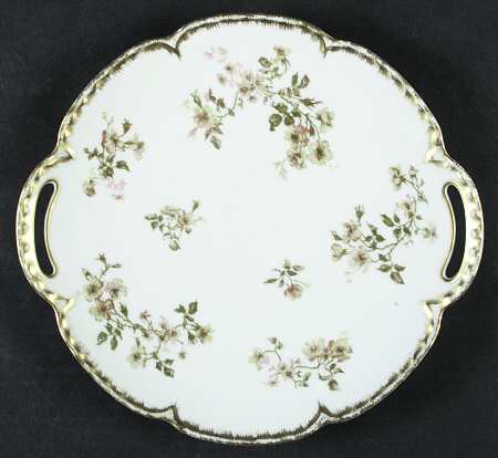 Schleiger 264d by Haviland