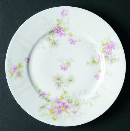 Schleiger 331d by Haviland