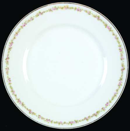 Schleiger 865c by Haviland