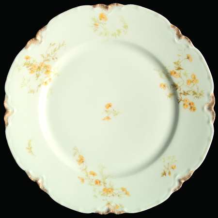 Schleiger 459F by Haviland