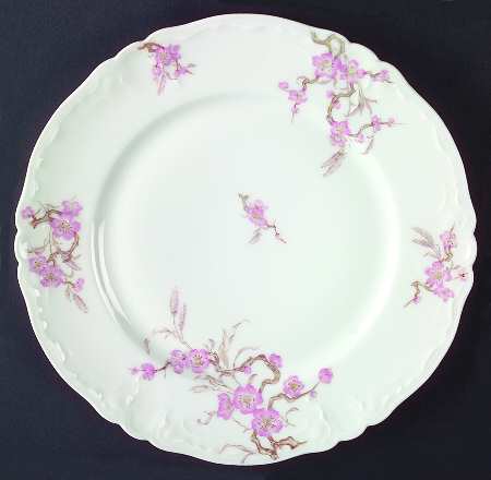 Schleiger 222-3 by Haviland