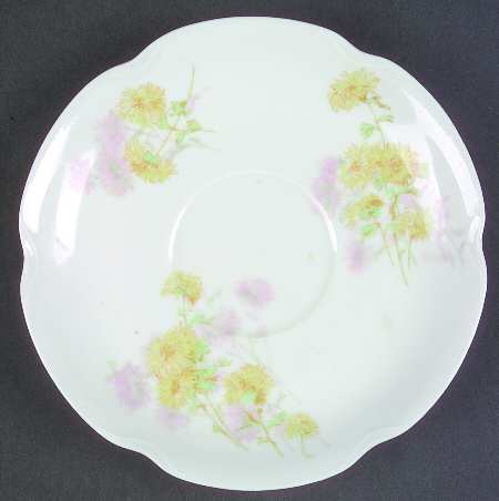 Schleiger 676 by Haviland