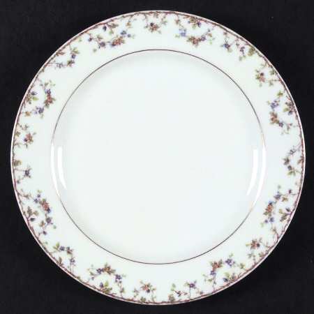 Schleiger 109-1 by Haviland