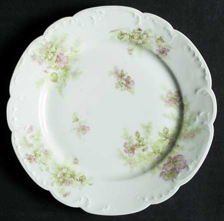 Schleiger 1172-1 by Haviland
