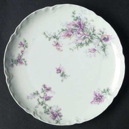 H1873 by Haviland
