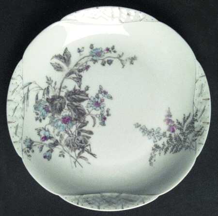 Schleiger 77-11 by Haviland