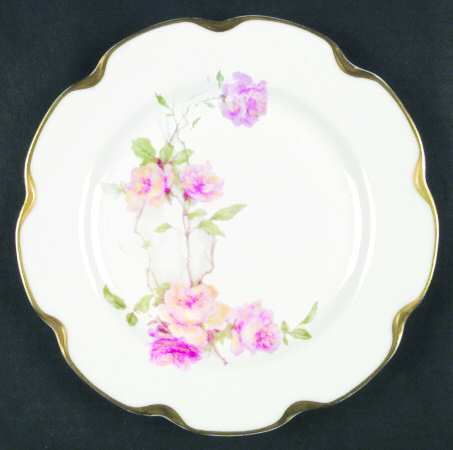 Schleiger 1151-7 by Haviland