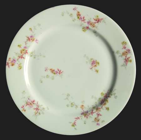 Schleiger 339-8 by Haviland
