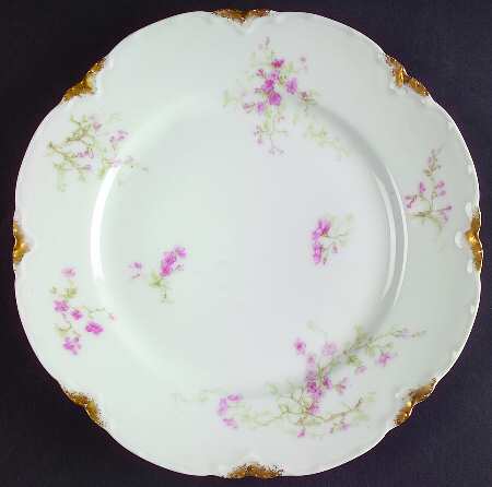 Schleiger 251-1 by Haviland