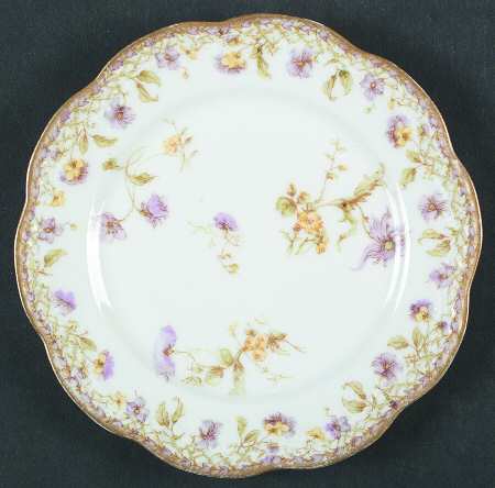 Schleiger 221-1 by Haviland