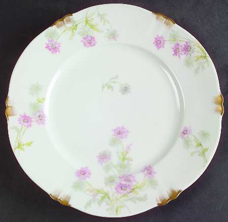 Schleiger 164-1 by Haviland