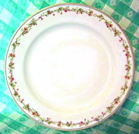 Schleiger 538-1 by Haviland