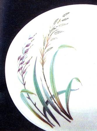 Prairie Grass by Hall