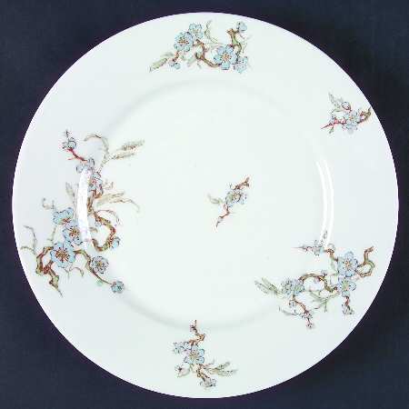 Schleiger 222-7 by Haviland