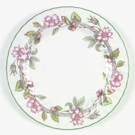 English Rose (Regency, Floral Vine) by Johnson Brothers