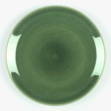 Asian Influence Green (Dark Slate) by JCPenney