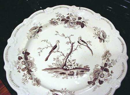 Oriental Birds by JW Ridgeway