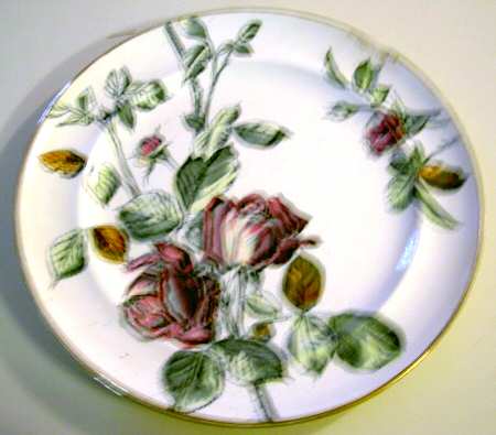 Our Roses Multicolor by George Jones & Sons