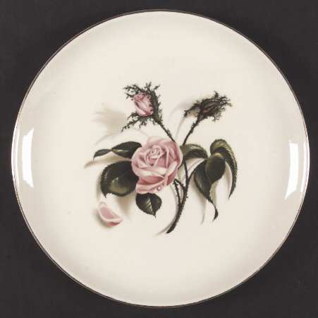 Moss Rose by Edwin Knowles