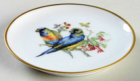 Vogel by Kaiser