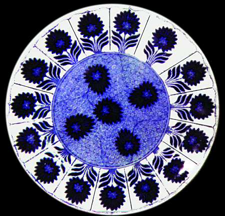 China Aster by Minton
