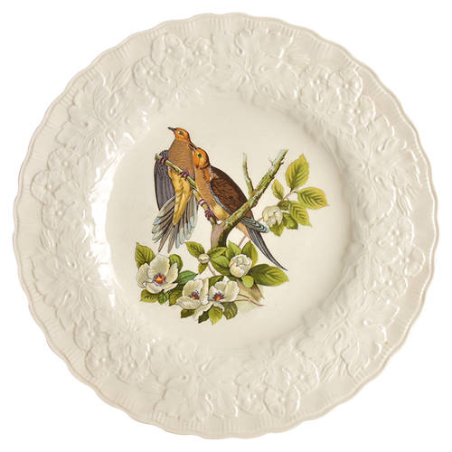 Birds of America (Embossed Floral Rim) by Alfred Meakin
