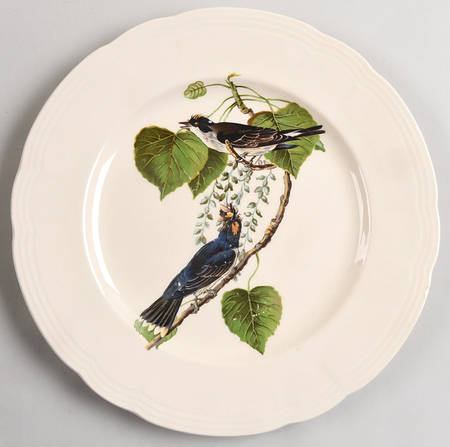 Birds of America (Embossed Ring Rim) by Alfred Meakin