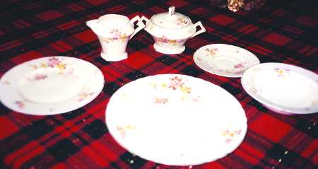 Gloria by Myott Staffordshire