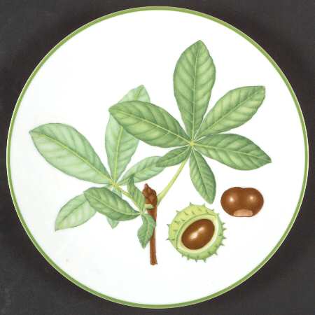 Nutleaf by Mottahedeh