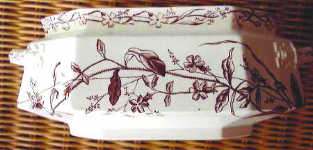 Stately Homes of England Brown by Moore & Co