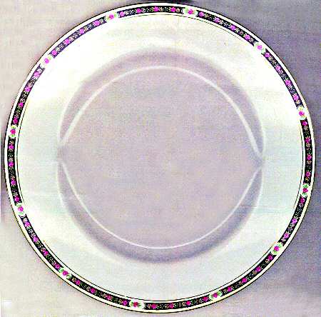 Tudor Rose by Myott Staffordshire