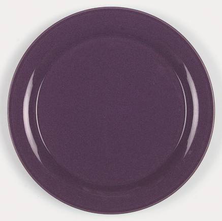 Solid Color Eggplant by Nancy Calhoun