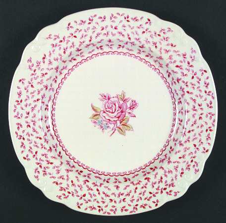 Cameo Rose by Nikko