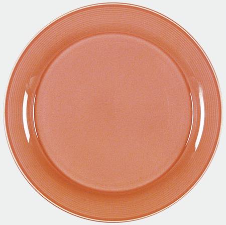 Solid Color Salmon by Nancy Calhoun