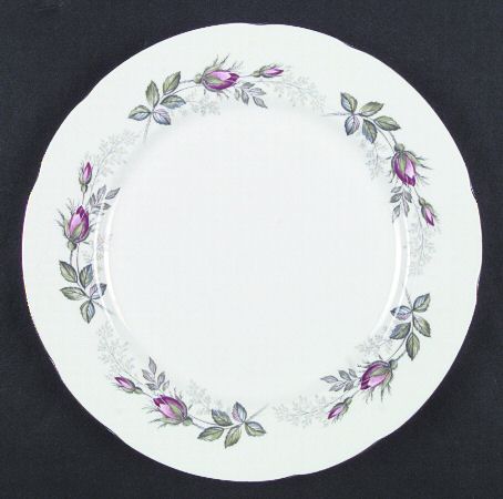Bridal Rose by Paragon