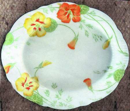 Nasturtium by Paragon