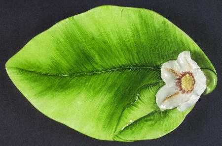 Magnolia by Presenttense