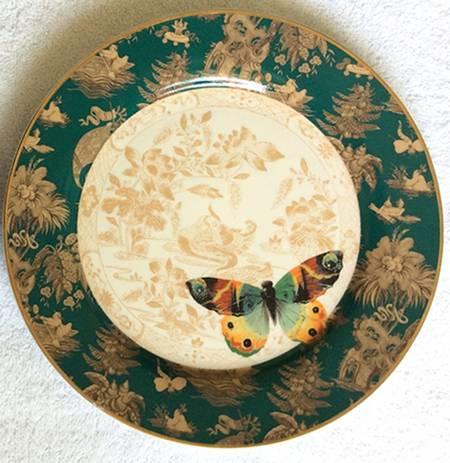 Mandarin Toile by Punch Studio