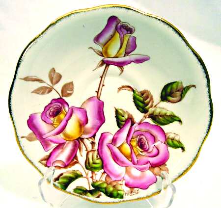 Windsor Rose by Queen Anne (England)