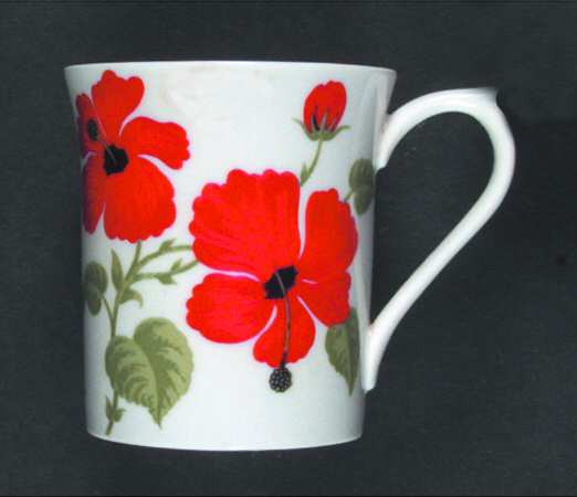 Garden Flowers by Rosina-Queens