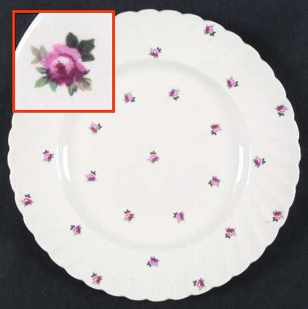 ROS4 by Royal Staffordshire