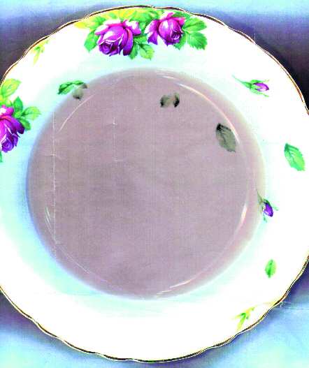 ROS5 by Royal Staffordshire