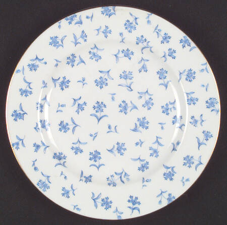 B711 by Royal Worcester