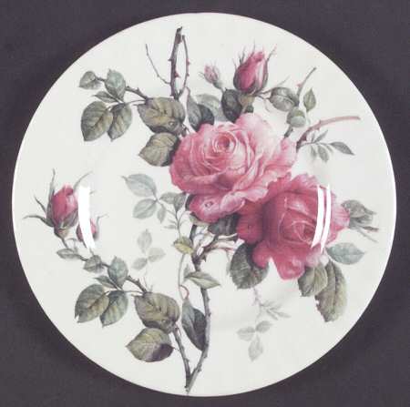 English Rose by Roy Kirkham