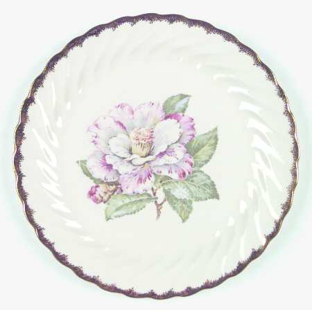 Camelia Royal by Royal (USA)