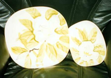 Magnolia Yellow by Red Wing