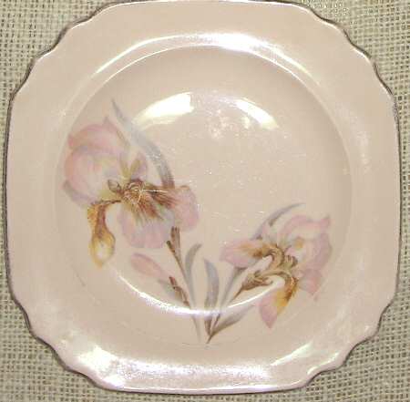 Hollywood Iris by Royal (USA)