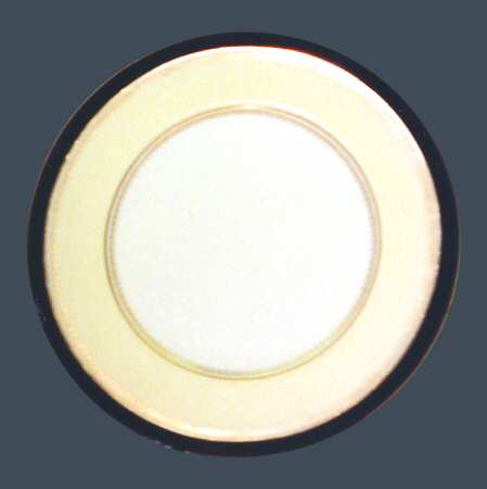 Z1384 by Royal Worcester