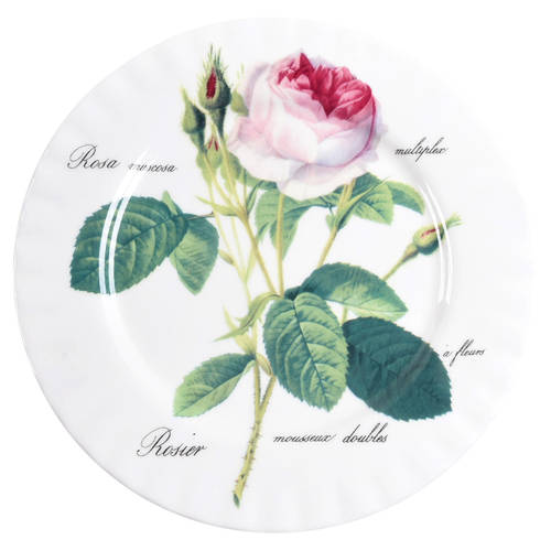 Redoute Roses by Roy Kirkham